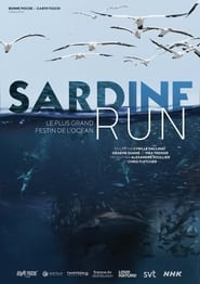 Poster Sardine run, le plus grand festin de l'océan