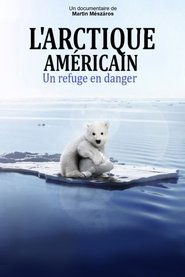 L'Arctique américain, un refuge en danger