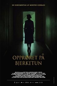 Opprøret på Bjerketun