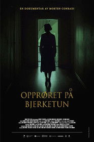 Opprøret på Bjerketun