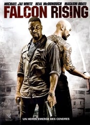 Falcon Rising streaming