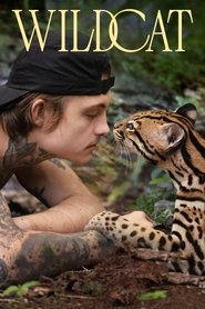 Wildcat Wildcat
