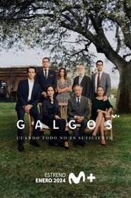 Galgos постер