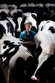 Bloody Milk постер