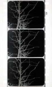 Poster Arborescent Games: Fugue in Minor 1931