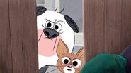 Episode 22