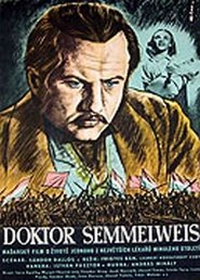 Poster Semmelweis