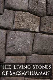 Живые камни Саксайуамана (2014)
