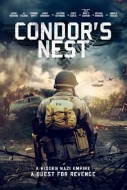 Condor's Nest постер