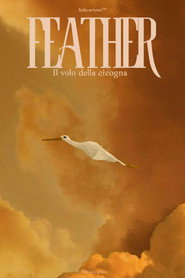 FEATHER - Il volo della cicogna