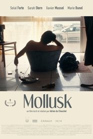 Poster Mollusk