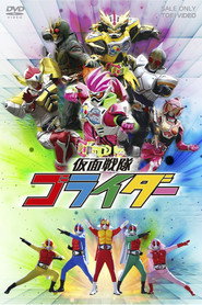 Poster Kamen Sentai Gorider - Miniseries 2017