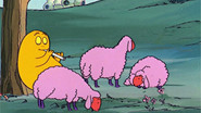 La tonte des moutons