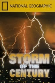 Storm of the Century постер