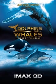 Дельфіни і кити 3D постер