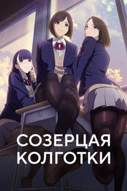 Созерцая колготки