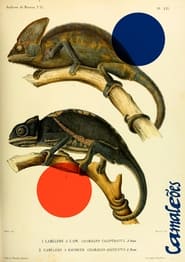 Poster Camaleões