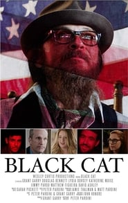 Black Cat постер