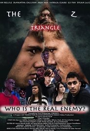 Poster The Z Triangle 2018