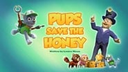 Pups Save the Honey