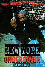 New York Undercover Season 1 2