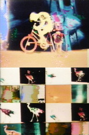 Biological Cycle No. 3 (1971)