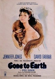 La volpe (1950) La volpe (1950)