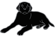Logo for Black Dog Television