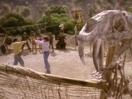 The Gladiators