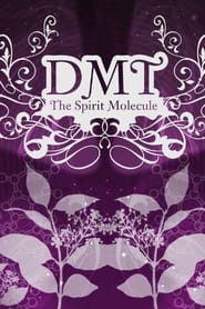 DMT: The Spirit Molecule постер
