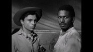 The Shooting of Jesse May
