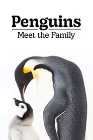 Penguins: Meet the Family постер