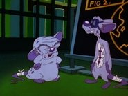 Pinky and the Brain - Episode 3x11