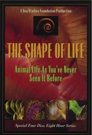 The Shape of Life poster