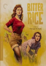 Bitter Rice постер