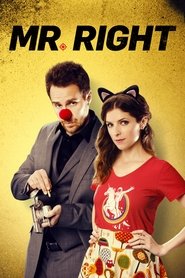 Poster Mr. Right 2016