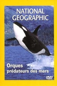 Poster Orcas, Predators of the Seas 2001