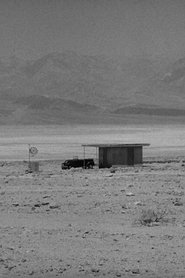 The Lonely