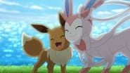 Eevee and Sylveon! Encounters and Reunions!!