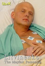 Poster Litvinenko – Was wirklich geschah