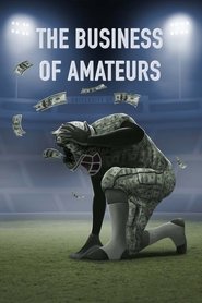 Poster The Business of Amateurs 2016