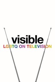 Visible: LGBTQ on Television (2020)