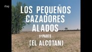 Episode 70