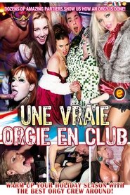 Poster Drunk Sex Orgy: Holiday Hotties 2013