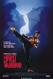 Kickfighter (1991)