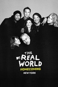 The Real World Homecoming постер