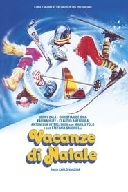 Vacanze di Natale