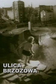 Poster Brzozowa Street 1947