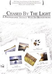 Poster Chased by the Light 2003