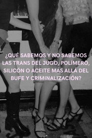 Poster for Hormonas & Polímeros